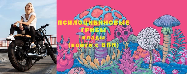 амф Тобольск