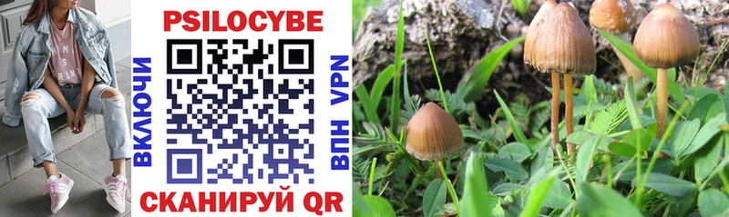 Галлюциногенные грибы прущие грибы  Купить  Агрыз 